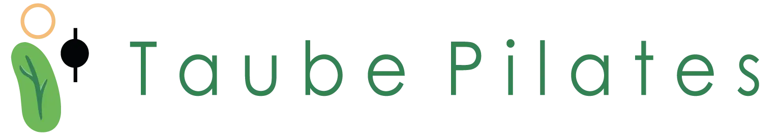 Pilates Reformer Taube